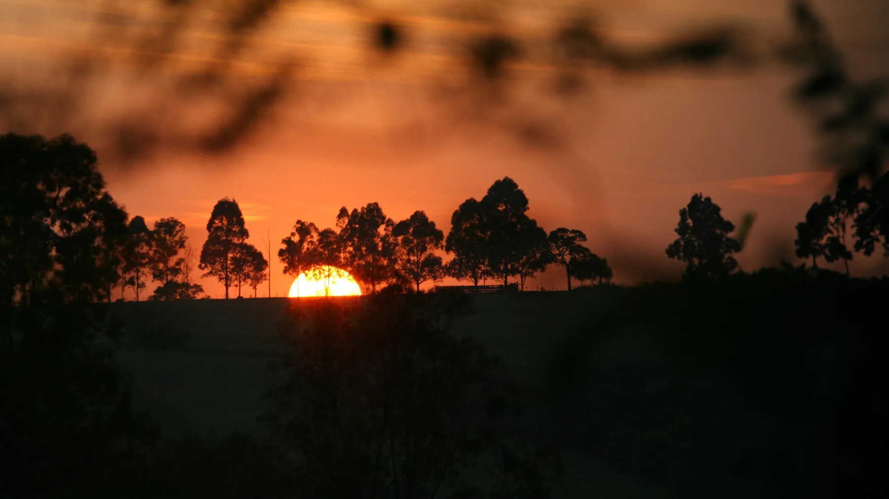 Sol se pondo atrás de eucaliptos, sobre as colinas de Araçoiaba da Serra
