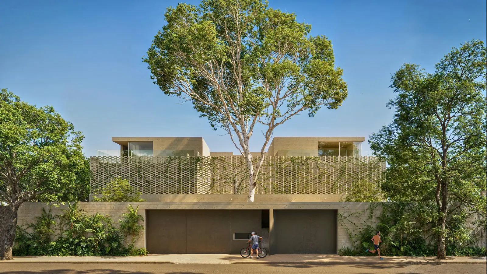 Fachada das quatro casas, com um jequitibá preservado sobre o muro de cobogó